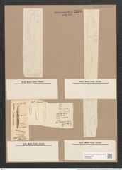 Donkinia recta (Donk.) Grun. (de-Toni-Nr.: Genus 17, Species 1150) Zeichnungen Sammlung Grunow Nr. 2246 (NHMW-BOT-W0369345)